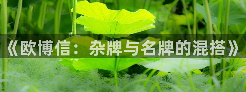 壹号娱乐-ng大舞台,有梦你就来