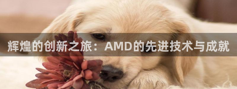 壹号娱乐app
