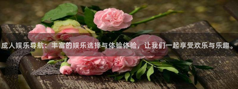 壹号娱乐app下载