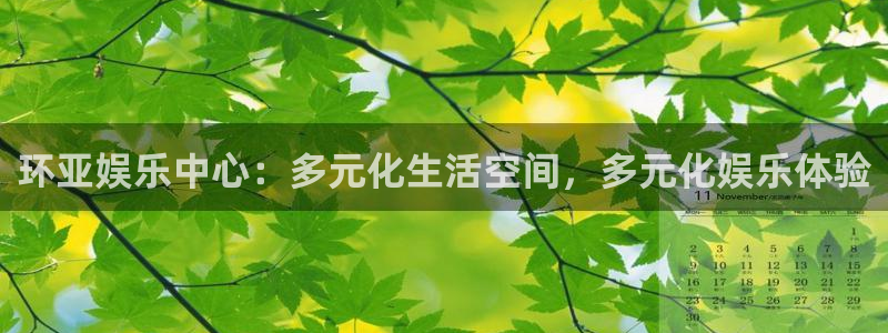 壹号app下载苹果