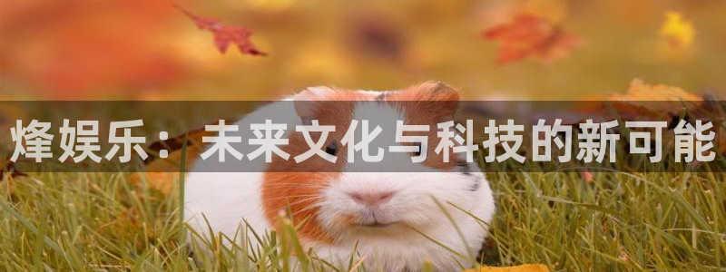 壹号娱乐强制退款流程详解
