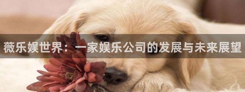 壹号官网app下载安装