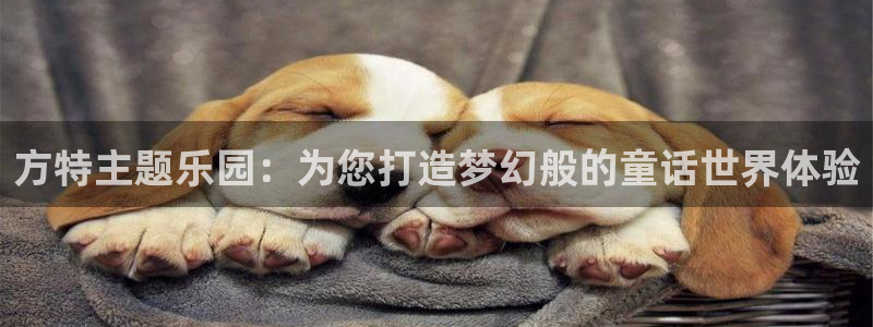 壹号app官网