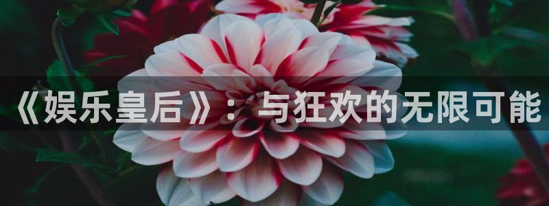 下载壹号娱乐app