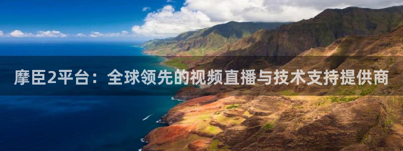 壹号app官网