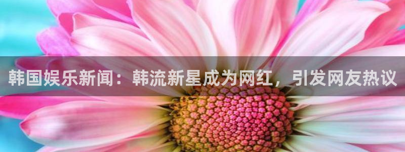 壹号top娱乐：韩国娱乐新闻：韩流新星成为网红，引发网友热议