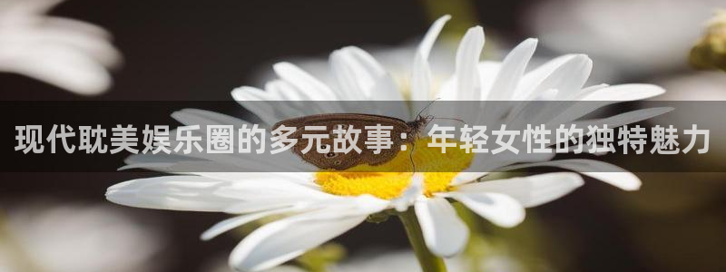 壹号平台app下载安装：现代耽美娱乐圈的多元故事：年轻女性的独特魅力