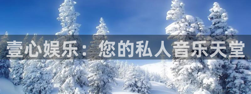 壹号娱乐怎么下载：壹心娱乐：您的私人音乐天堂