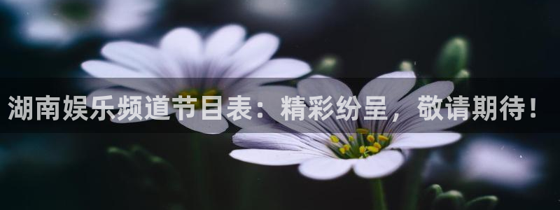 壹号app下载苹果：湖南娱乐频道节目表：精彩纷呈，敬请期待！