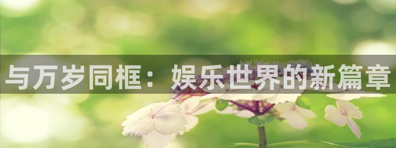 壹号app下载官方网站：与万岁同框：娱乐世界的新篇章