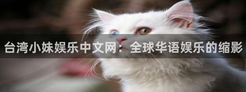 壹号娱乐app官网下载苹果：台湾小妹娱乐中文网：全球华语娱乐的缩影