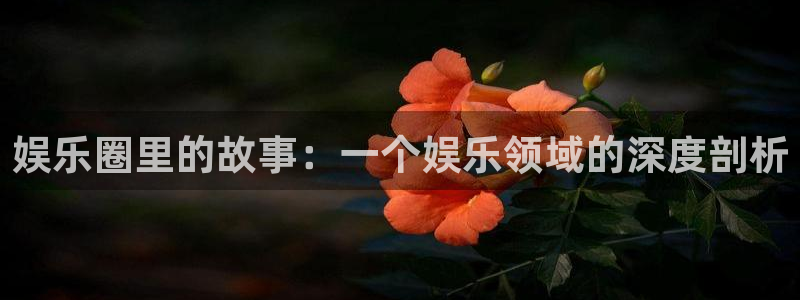 壹号大舞台娱乐传媒：娱乐圈里的故事：一个娱乐领域的深度剖析