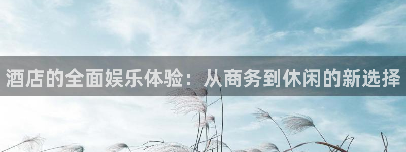 壹号娱乐app下载安装：酒店的全面娱乐体验：从商务到休闲的新选择