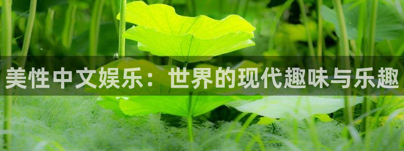 壹号app下载官网娱乐：美性中文娱乐：世界的现代趣味与乐趣