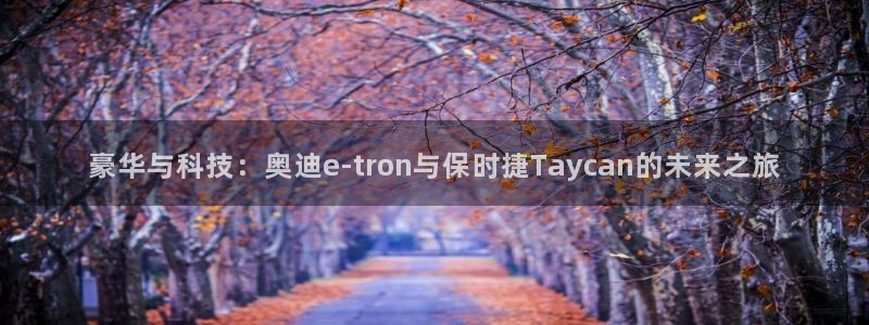 壹号平台下载：豪华与科技：奥迪e-tron与保时捷Taycan的未来之旅