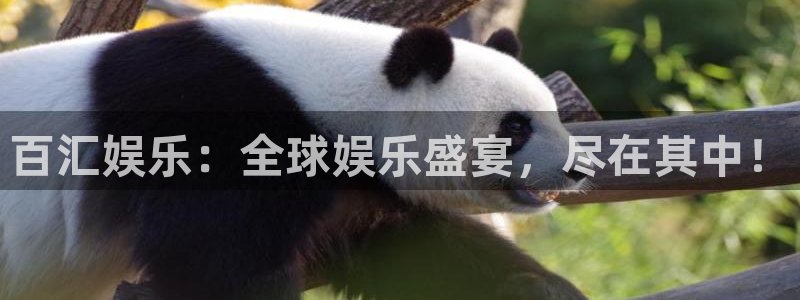 壹号大舞台官网：百汇娱乐：全球娱乐盛宴，尽在其中！