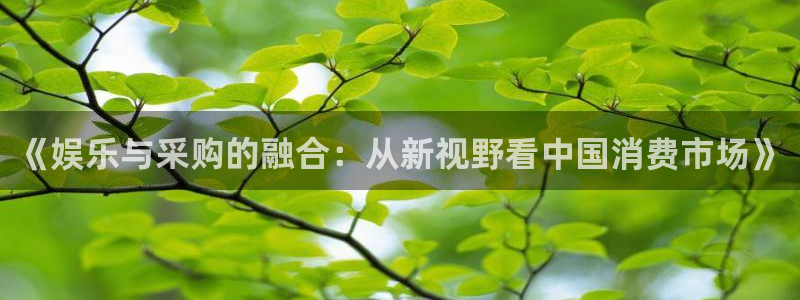 壹号国际app免费下载安装：《娱乐与采购的融合：从新视野看中国消费市场》