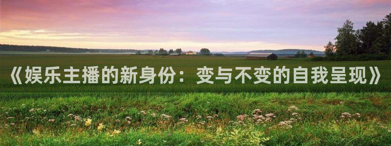 壹号娱乐下载：《娱乐主播的新身份：变与不变的自我呈现》