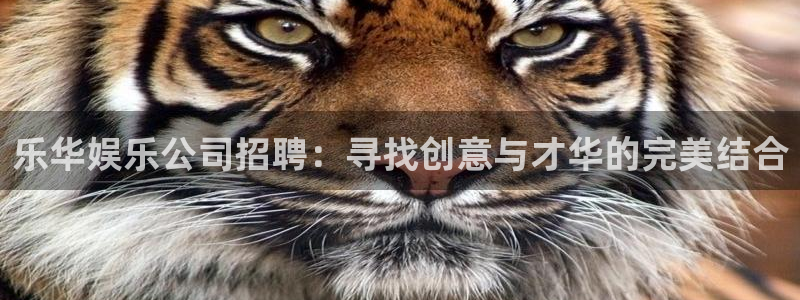 伟德国际集团 壹号(one game)：乐华娱乐公司招聘：寻找创意与才华的完美结合